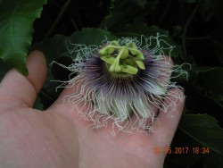 DSCN5571.JPG
