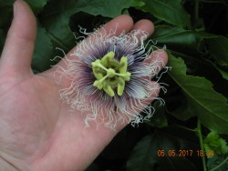DSCN5570.JPG