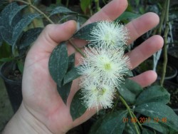 DSCN5434.JPG
