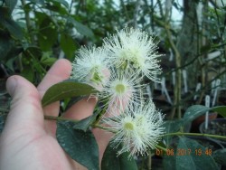 DSCN5770.JPG