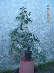 DSCN5772.JPG