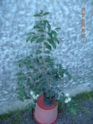DSCN5773.JPG