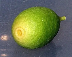 IMG_6166.JPG