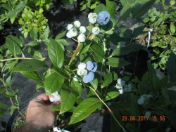 DSCN6020.JPG