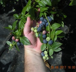 DSCN6024.JPG