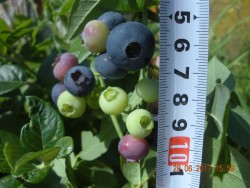 DSCN5975.JPG