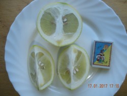 DSCN5168.JPG