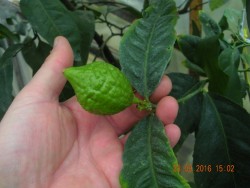 DSCN4757.JPG