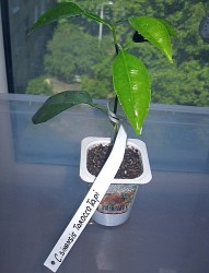 02.JPG (226.57 КБ) 30527 просмотров 02.JPG