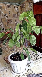 20170802_153748_792x445.jpg (19.67 КБ) 5109 просмотров 20170802_153748_792x445.jpg