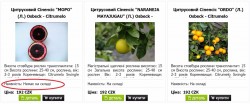 Безымянный.jpg