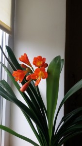 20150414_084125.jpg