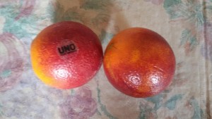 20150420_153043.jpg