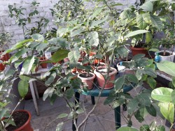 8.jpg (336.15 КБ) 13617 просмотров 8.jpg