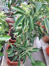 9.jpg (25.2 КБ) 10873 просмотра 9.jpg