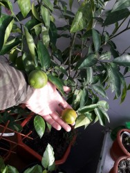 10.jpg (134.59 КБ) 11286 просмотров 10.jpg