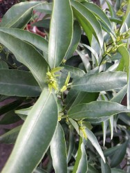 11.jpg (121.06 КБ) 11288 просмотров 11.jpg