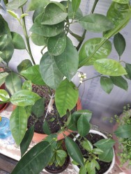 12.jpg (128.31 КБ) 10873 просмотра 12.jpg