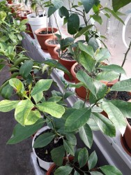 13.jpg (24.04 КБ) 10848 просмотров 13.jpg