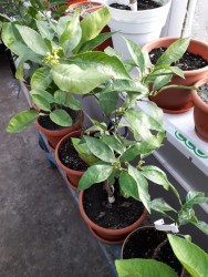 14.jpg (21.92 КБ) 10873 просмотра 14.jpg