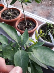 15.jpg (19.16 КБ) 10873 просмотра 15.jpg