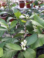 19.jpg (22.47 КБ) 11721 просмотр 19.jpg