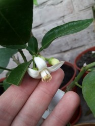 20.jpg (73.93 КБ) 11290 просмотров 20.jpg