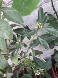 22.jpg (21.21 КБ) 11290 просмотров 22.jpg