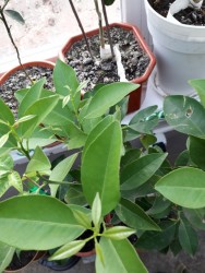 23.jpg (20.36 КБ) 11721 просмотр 23.jpg