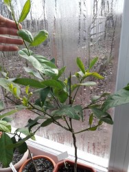 24.jpg (20.49 КБ) 10848 просмотров 24.jpg