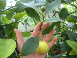 DSCN5425.JPG
