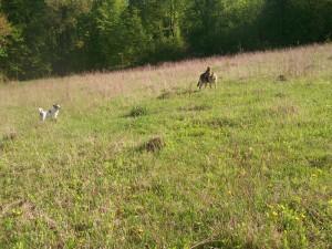 100_2324.JPG