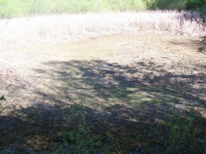100_2343.JPG