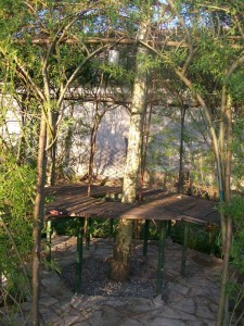 100_2447.JPG