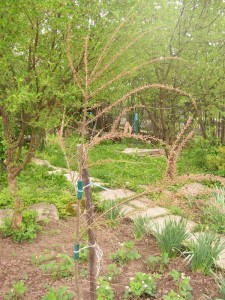 100_2496.JPG