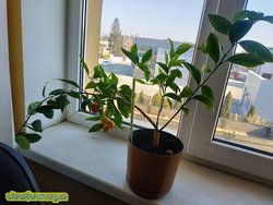 IMG_20190418_092155.jpg