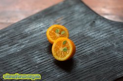 malayan kumquat_2.jpg