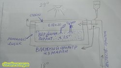 20200209_055901.JPG