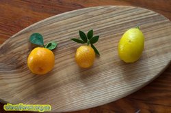 kumquats.jpg