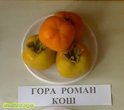 Гора Роман Кош.jpg