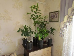 IMG_4891.JPG