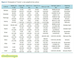G234234234432.jpg (307.73 КБ) 6920 просмотров G234234234432.jpg