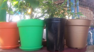 20150612_163741.jpg