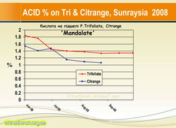 Acid.jpg (173.36 КБ) 6724 просмотра Acid.jpg