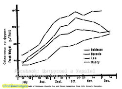Грами.jpg (164.01 КБ) 6483 просмотра Грами.jpg