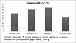 Частота грануляції, % плодів апельсина Хамліна, щеплених на різних підщепах на дослідницькій фермі Сохар, 2008 р..png