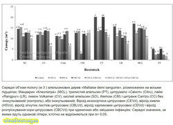 Середні_об’єми_пологу_м_3_апельсинових_дерев_«Maltaise_demi_sanguine».jpg (12.39 КБ) 5783 просмотра Середні_об’єми_пологу_м_3_апельсинових_дерев_«Maltaise_demi_sanguine».jpg