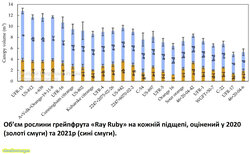 Об’єм рослини грейпфрута «Ray Ruby» на кожній підщепі, оцінений у 2020 (золоті смуги) та 2021 (сині смуги)..jpg (489.32 КБ) 7415 просмотров Об’єм рослини грейпфрута «Ray Ruby» на кожній підщепі, оцінений у 2020 (золоті смуги) та 2021 (сині смуги)..jpg