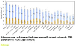 Об’єм рослини грейпфрута «Ray Ruby» на кожній підщепі, оцінений у 2020 (золоті смуги) та 2021 (сині смуги)..jpg