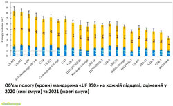 Об’єм пологу мандарина «UF 950» на кожній підщепі, оцінений у 2020 (сині смуги) та 2021 (жовті смуги).jpg